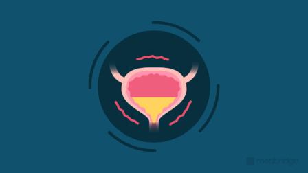 OT in the Home: Pelvic Health Strategies for General Practitioners