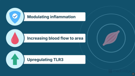 Shockwave Therapy: A Guide for Orthopedic Clinics