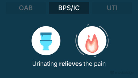 Pelvic Pain and the Overactive Pelvic Floor