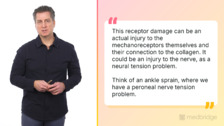 When Collagen Injuries Stop Talking Back