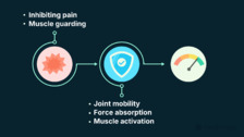 Sports Manual Therapy: Movement Starts With the Hinges