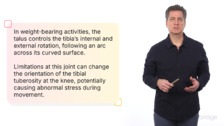 Advanced Tissue Training Concepts for Patellar Tendinopathy