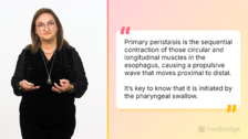 Basic Anatomy and Physiology of the Normal Esophagus