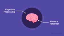 Handwriting and Cognitive Influences