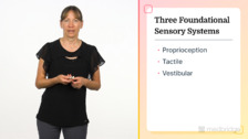 Handwriting and Sensory Influences
