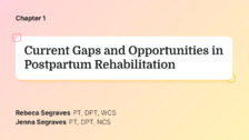 Current Gaps and Opportunities in Postpartum Rehabilitation