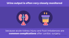 Tubes and Drains for the Care of Cardiac Surgery Patients