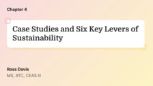 Case Studies and Six Key Levers for Sustainability