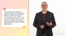 Basic Anatomy and Biomechanics of the Meniscus
