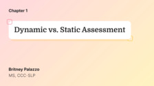 Dynamic vs. Static Assessment