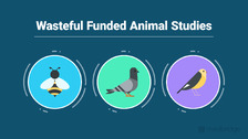 How Research Funding Works