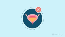 Introduction to Infant Bladder and Bowel Physiology