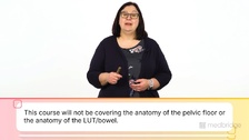 Introduction to Bowel, Bladder, and Sexual Function in People With Spinal Cord Injuries