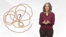Health Literacy and Culture