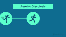 Metabolic