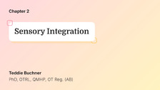 Sensory Integration